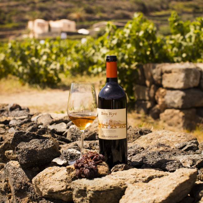 Visit.Donnafugata.it - Booking per degustazioni in cantina e non solo