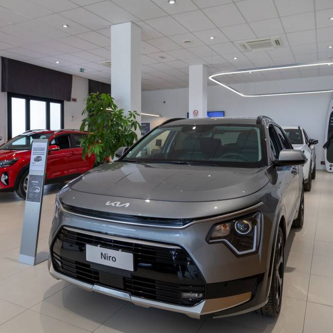 Automondo Concessionaria Kia e Peugeot - Strategia digitale completa per il mondo automotive
